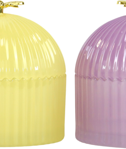 3273 BOÎTES VERRE BUSY BEE 3P